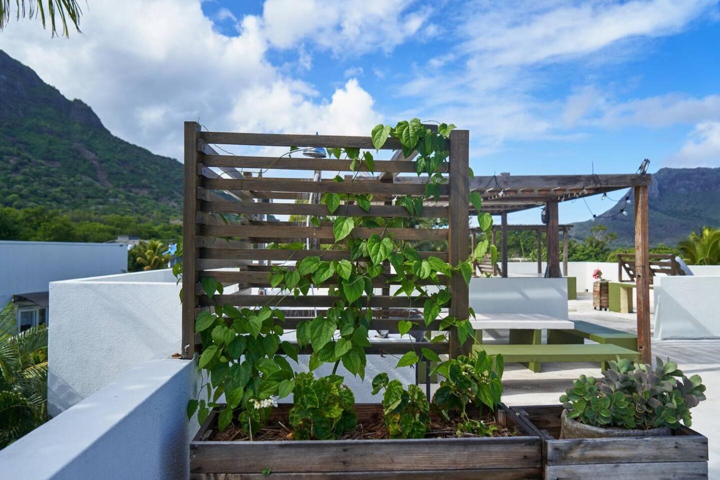 Loukaz -Entire Rental Units W Panoramic Rooftop Coteau Raffin ภายนอก รูปภาพ
